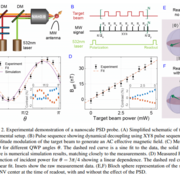 Quantum Sensing of Photonic Spin Density Using a Single Spin Qubit